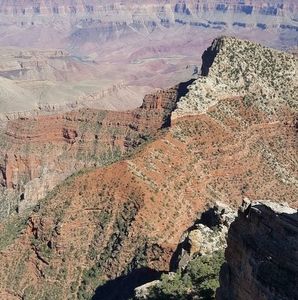 Meet your Posher, Irene